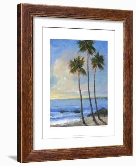 Tropical Breeze II-Tim O'toole-Framed Art Print