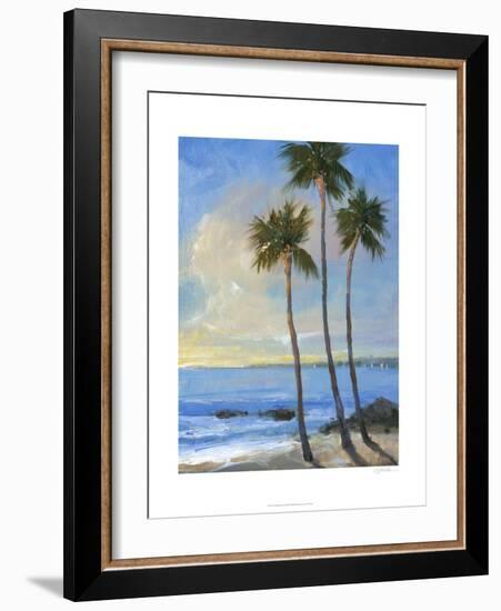 Tropical Breeze II-Tim O'toole-Framed Art Print