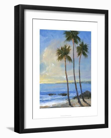 Tropical Breeze II-Tim O'toole-Framed Art Print