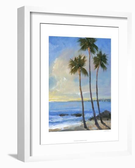 Tropical Breeze II-Tim O'toole-Framed Art Print