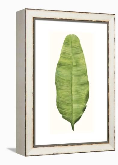 Tropical Breeze Leaves IV-Naomi McCavitt-Framed Stretched Canvas