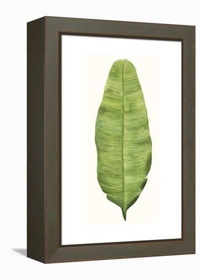 Tropical Breeze Leaves IV-Naomi McCavitt-Framed Stretched Canvas