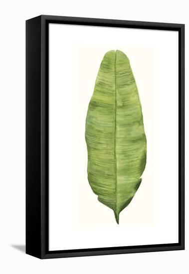 Tropical Breeze Leaves IV-Naomi McCavitt-Framed Stretched Canvas