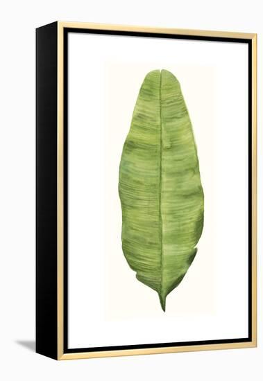 Tropical Breeze Leaves IV-Naomi McCavitt-Framed Stretched Canvas