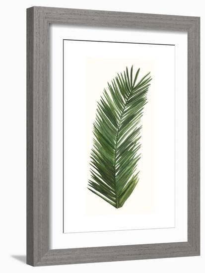 Tropical Breeze Leaves V-Naomi McCavitt-Framed Art Print