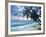 Tropical Breeze-Alan Lambert-Framed Giclee Print