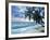 Tropical Breeze-Alan Lambert-Framed Giclee Print