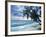 Tropical Breeze-Alan Lambert-Framed Giclee Print