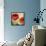 Tropical Brights-Andrew Michaels-Framed Stretched Canvas displayed on a wall