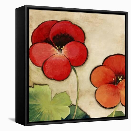 Tropical Brights-Andrew Michaels-Framed Stretched Canvas