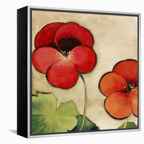 Tropical Brights-Andrew Michaels-Framed Stretched Canvas