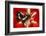 Tropical Butterfly, Moduza Mata Amida-Darrell Gulin-Framed Photographic Print