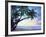 Tropical Calm-Alan Lambert-Framed Giclee Print