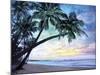 Tropical Calm-Alan Lambert-Mounted Giclee Print