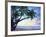 Tropical Calm-Alan Lambert-Framed Giclee Print