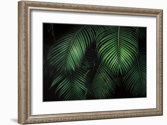 Tropical Canopies-Dennis Frates-Framed Giclee Print