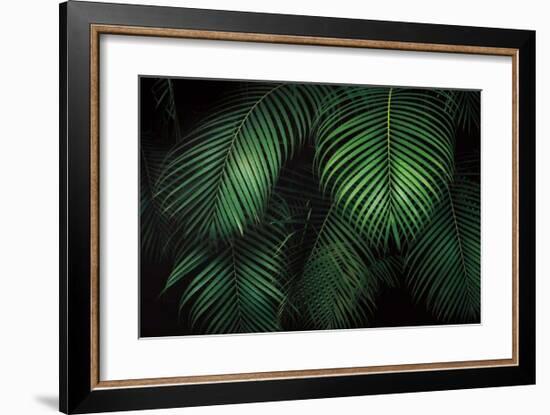 Tropical Canopies-Dennis Frates-Framed Giclee Print