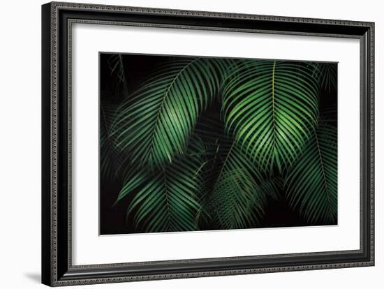 Tropical Canopies-Dennis Frates-Framed Giclee Print