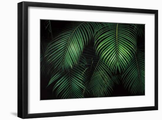 Tropical Canopies-Dennis Frates-Framed Giclee Print