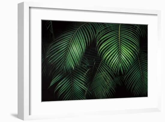 Tropical Canopies-Dennis Frates-Framed Giclee Print