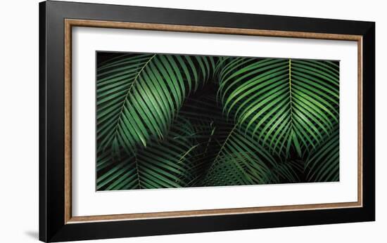 Tropical Canopies-Dennis Frates-Framed Art Print