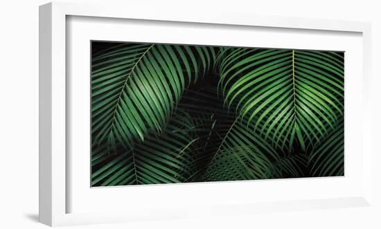 Tropical Canopies-Dennis Frates-Framed Art Print