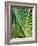 Tropical Close Up-SOIL-Framed Photographic Print