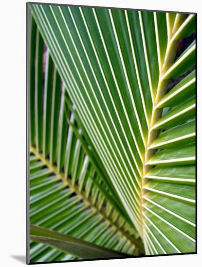 Tropical Close Up-SOIL-Mounted Photographic Print