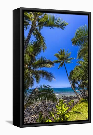Tropical Coastline of Princeville, Hi-Andrew Shoemaker-Framed Premier Image Canvas