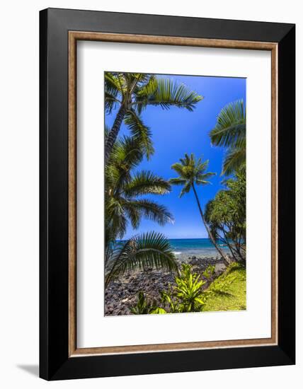 Tropical Coastline of Princeville, Hi-Andrew Shoemaker-Framed Photographic Print