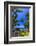 Tropical Coastline of Princeville, Hi-Andrew Shoemaker-Framed Photographic Print