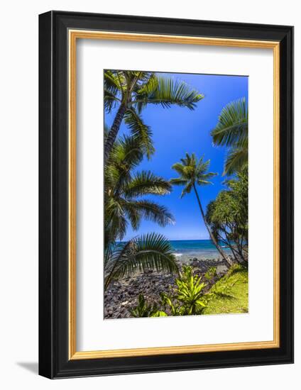 Tropical Coastline of Princeville, Hi-Andrew Shoemaker-Framed Photographic Print