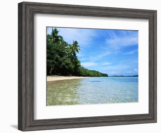 Tropical Coastline of Turtle Island-David Papazian-Framed Premium Photographic Print