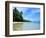 Tropical Coastline of Turtle Island-David Papazian-Framed Premium Photographic Print