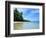 Tropical Coastline of Turtle Island-David Papazian-Framed Premium Photographic Print