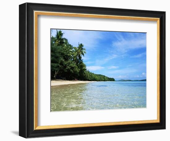 Tropical Coastline of Turtle Island-David Papazian-Framed Premium Photographic Print