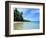 Tropical Coastline of Turtle Island-David Papazian-Framed Premium Photographic Print