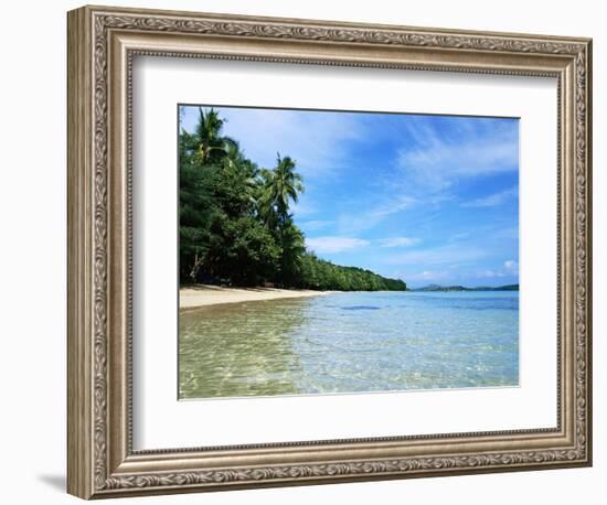 Tropical Coastline of Turtle Island-David Papazian-Framed Photographic Print