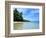 Tropical Coastline of Turtle Island-David Papazian-Framed Photographic Print