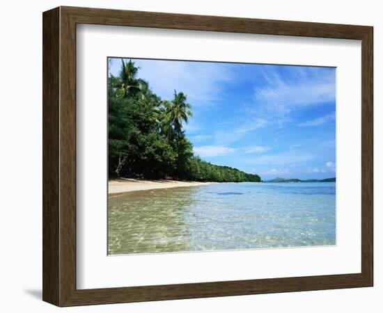 Tropical Coastline of Turtle Island-David Papazian-Framed Photographic Print