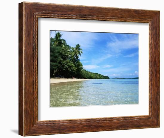 Tropical Coastline of Turtle Island-David Papazian-Framed Photographic Print