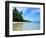 Tropical Coastline of Turtle Island-David Papazian-Framed Photographic Print