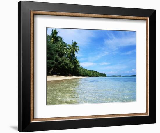 Tropical Coastline of Turtle Island-David Papazian-Framed Photographic Print