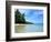 Tropical Coastline of Turtle Island-David Papazian-Framed Photographic Print