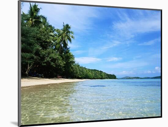 Tropical Coastline of Turtle Island-David Papazian-Mounted Photographic Print