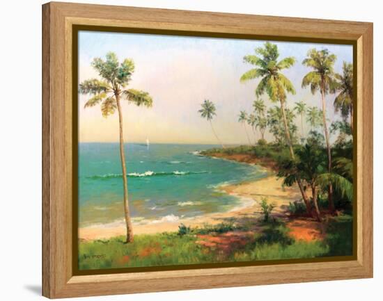 Tropical Coastline-Karen Dupré-Framed Stretched Canvas