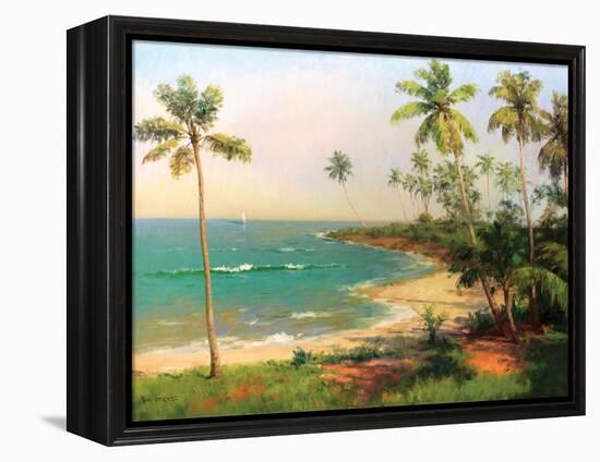 Tropical Coastline-Karen Dupré-Framed Stretched Canvas