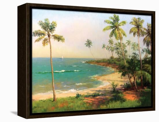 Tropical Coastline-Karen Dupré-Framed Stretched Canvas