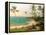 Tropical Coastline-Karen Dupré-Framed Stretched Canvas