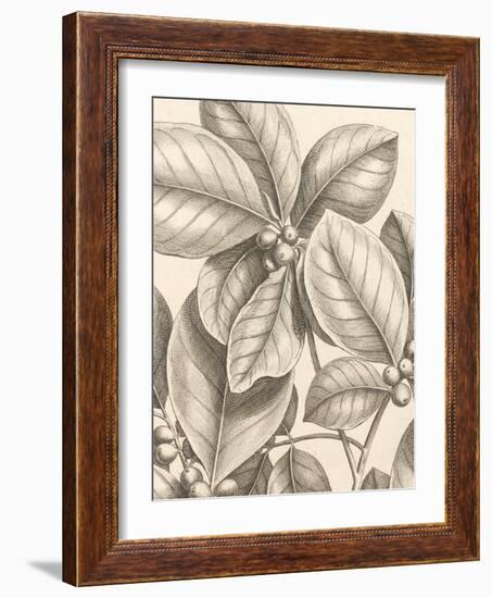 Tropical Connection I-Louis Van Houtte-Framed Art Print